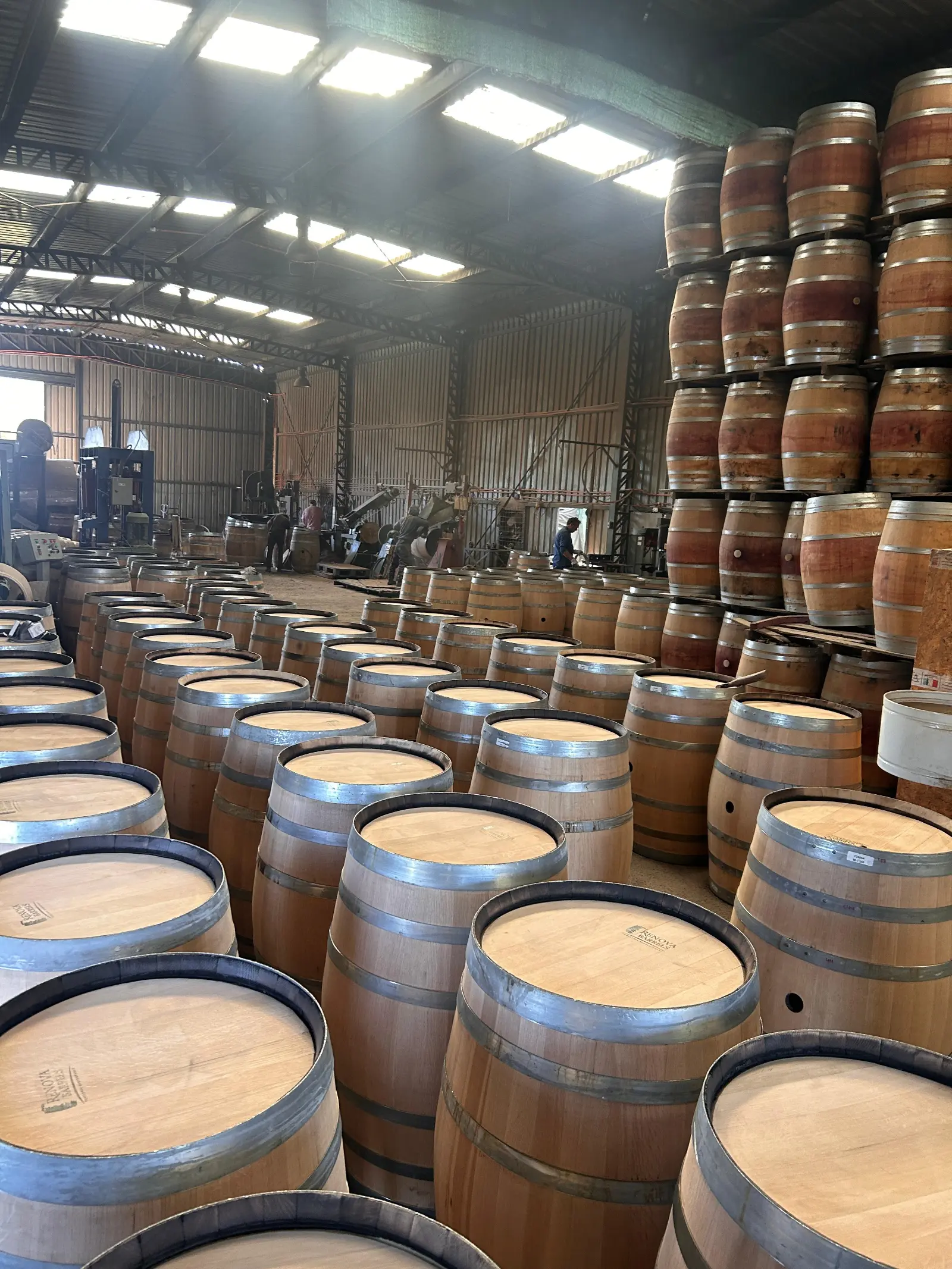 WhatsApp Image 2025-10-14 at 17.25.14 (1)